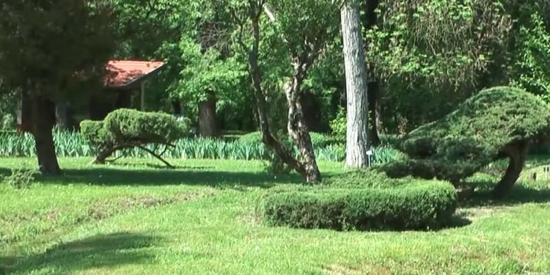 9 tipp a kert parkosítására