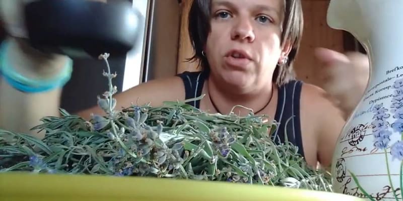 Növények és virágok szárítása és festése házilag