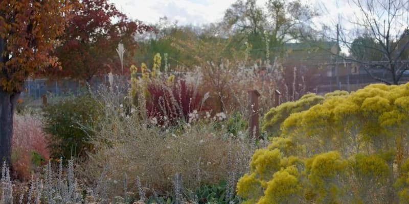 Zöld üzleti ötletek öko gondolkodó vállalkozóknak