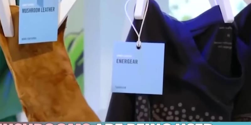  7 környezetbarát szövet