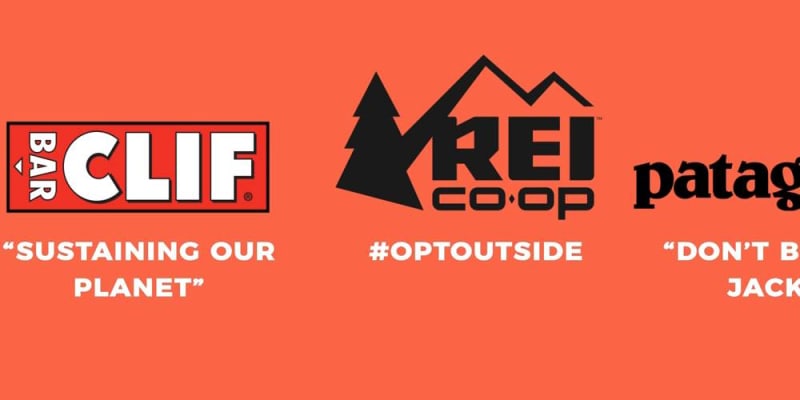 eco friendly brands like patagonia