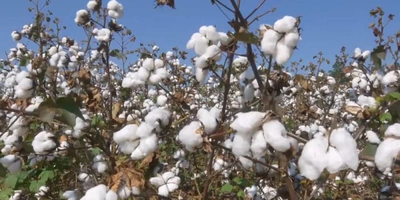 about eco friendly clothing