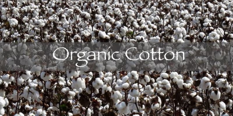 which fabrics are eco friendly