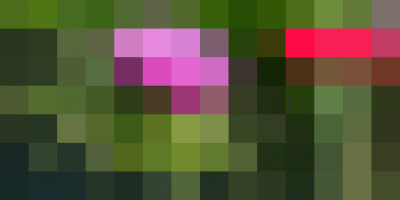 liver cleansing with milk thistle