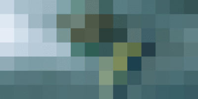 gyakori madár etető hibák