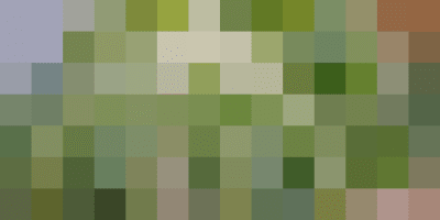 pasta with cauliflower 