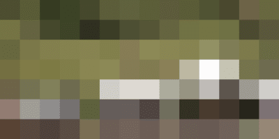 eco friendly near me