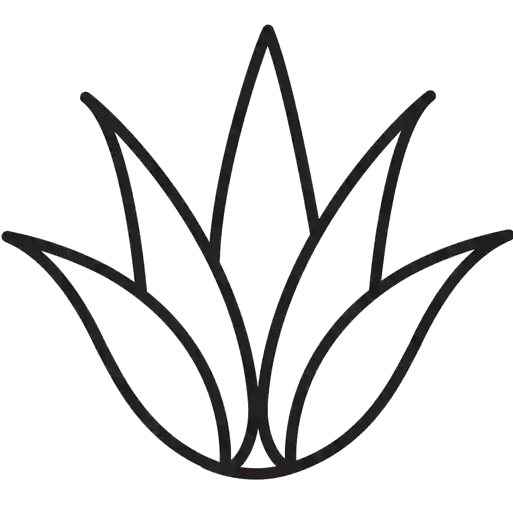 Organic Aloe Vera icon