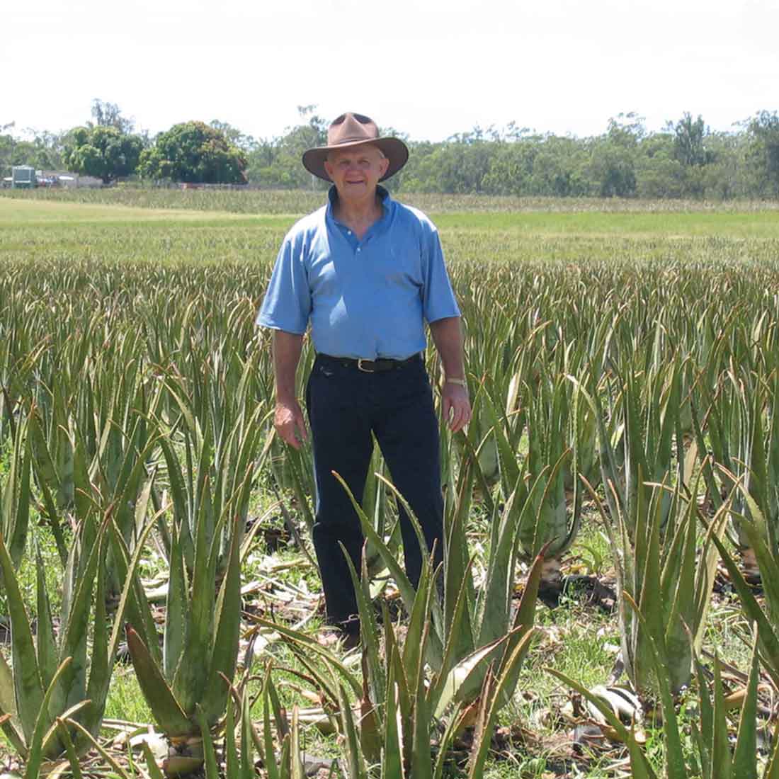 Mr Fittler in Aloe Vera Farm