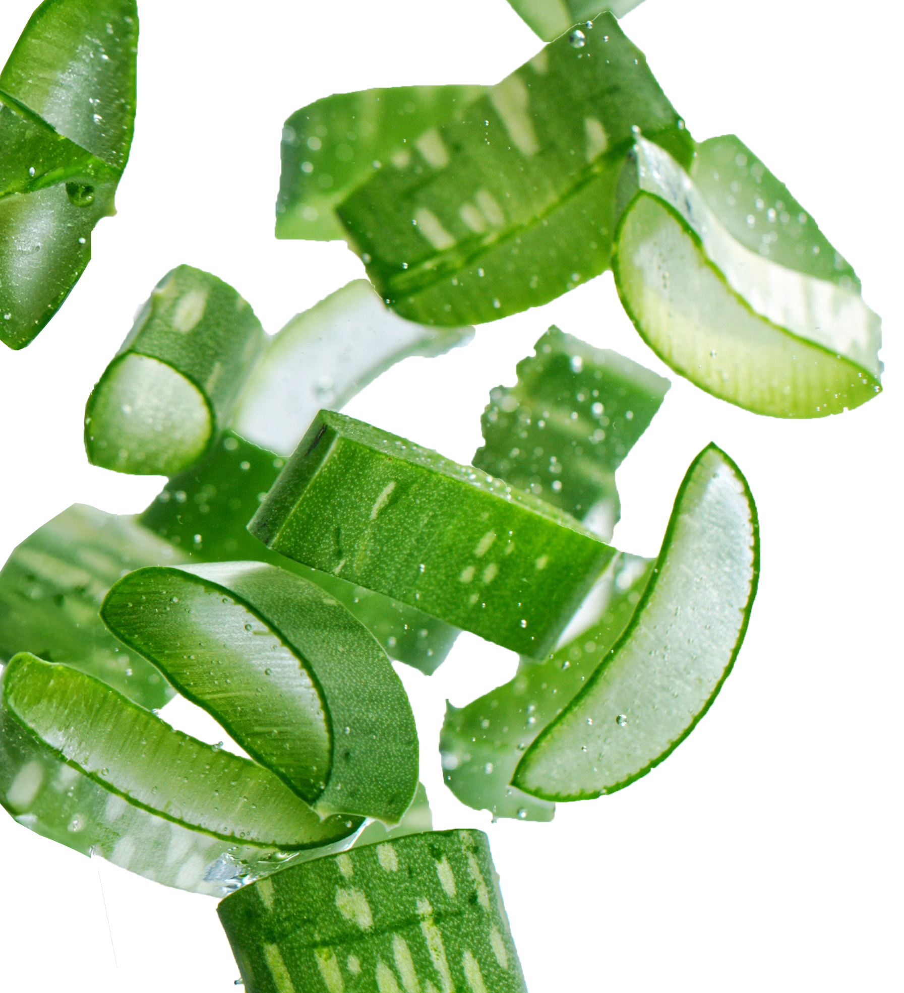 Multiple pieces of segmented aloe vera