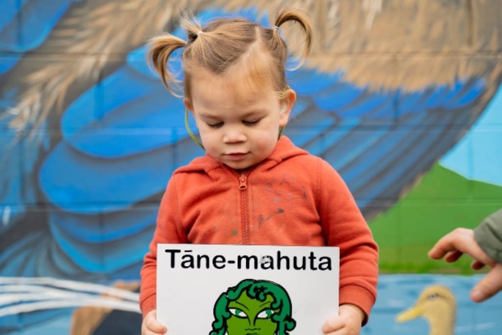 Looking in from another lens: Characteristics of ngā kaitiaki/atua Māori that tamariki may also possess