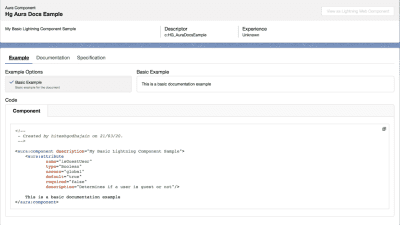 Image showing Aura docs in salesforce org