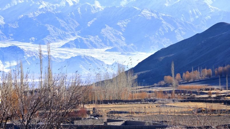 WoodyVu Stok House, Leh