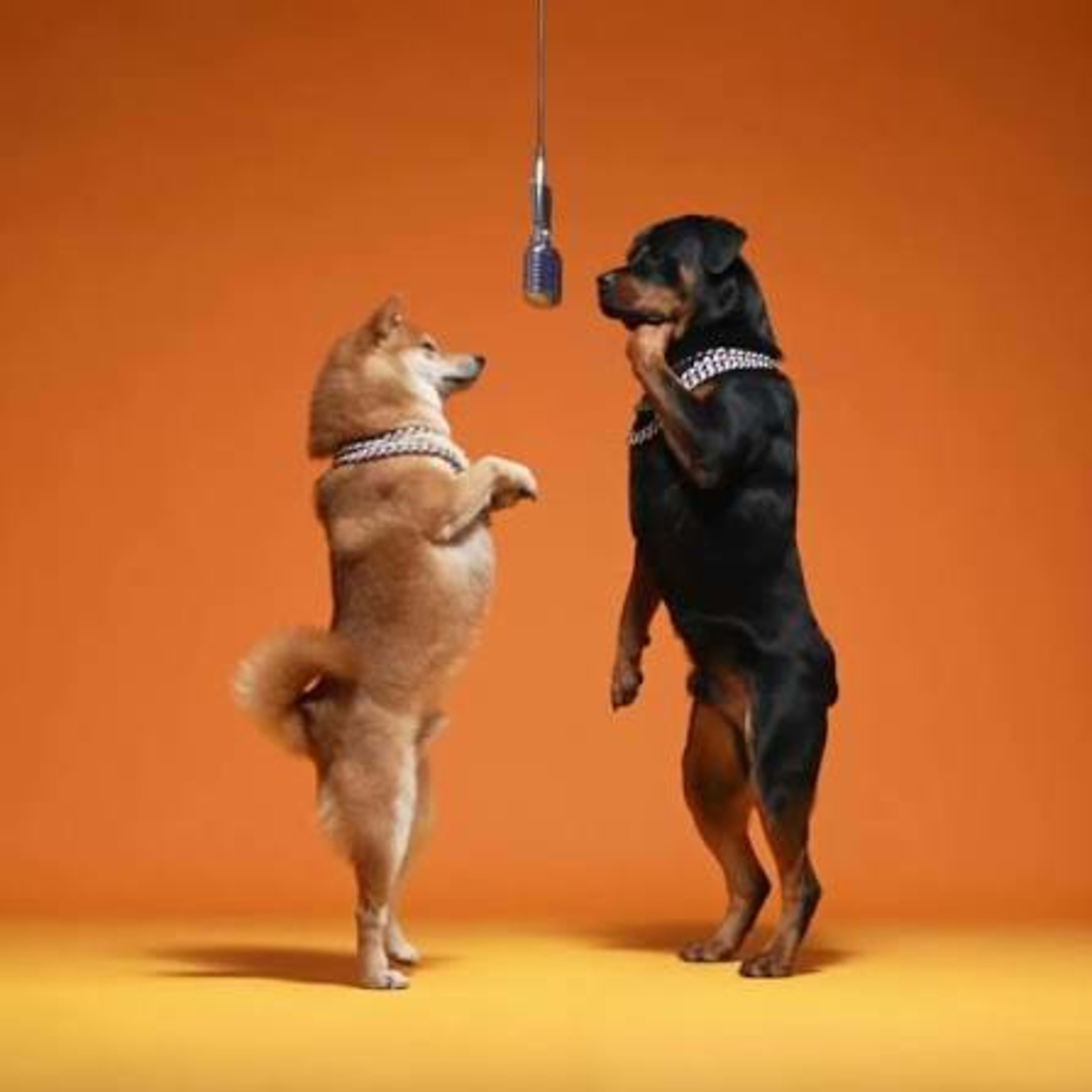 Fun vs. Fuckery: AI, Likeness and You