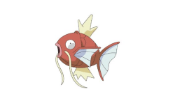 Picture of Pokémon Magikarp. Image from Pinterest.com