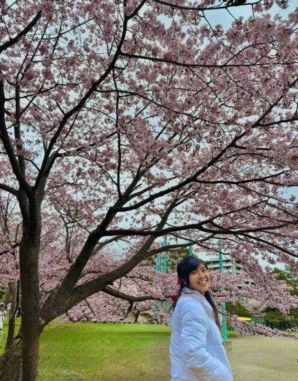 Amanda under cherry blossom trees in Japan, Hokkaido