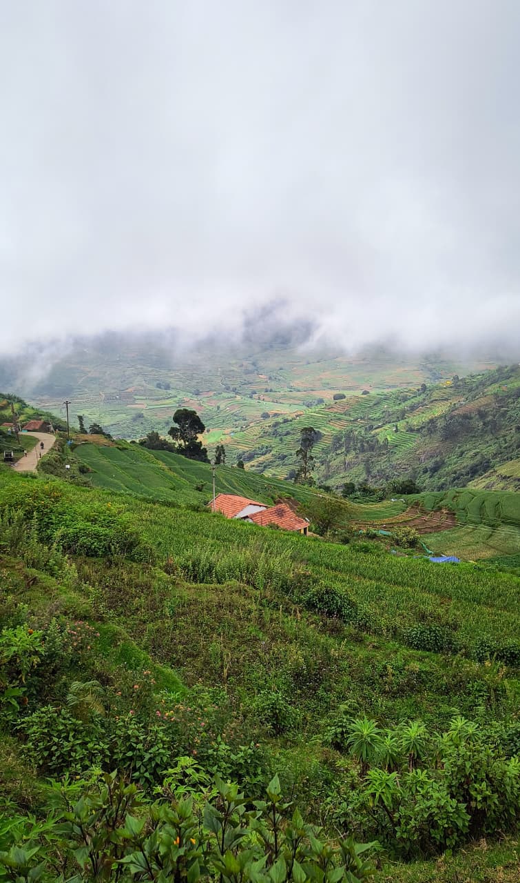 Poomparai landscape