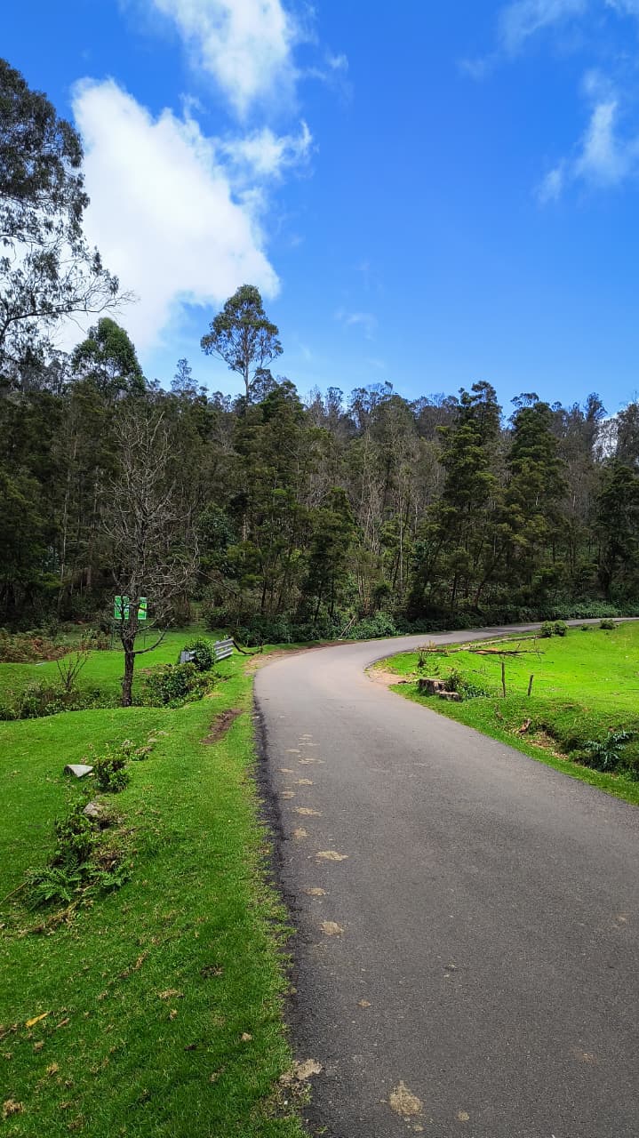 Road to Kodai