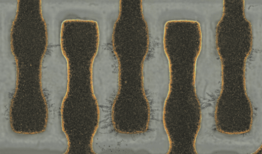 Dendritic Growth