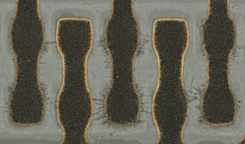 Dendritic Growth