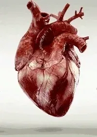 Pmazic7rcxzkyw1xdqp5