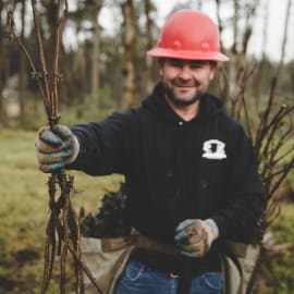 Donorpoints One Tree Planted - Single Donation