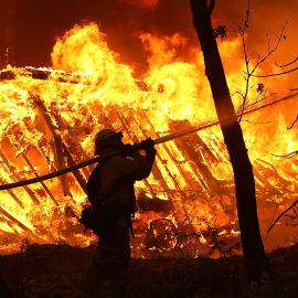 Donorpoints One Tree Planted