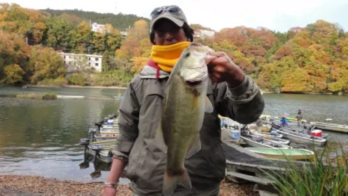 2012年クラシック2位