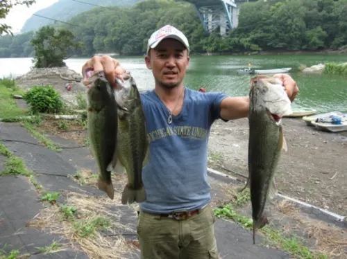 2013年第5戦優勝