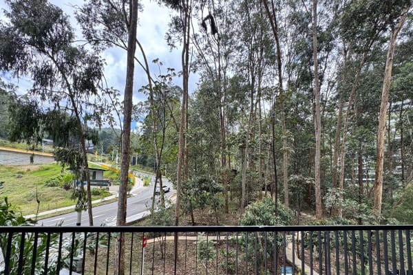 Medellin