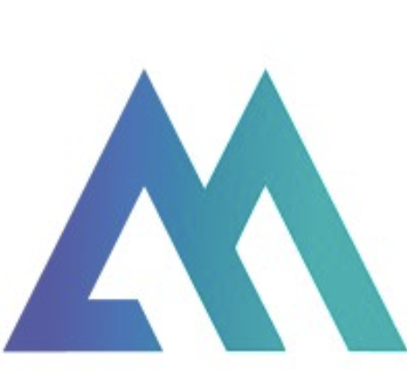 Total Server Solutions logo