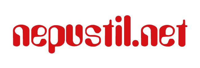 Dr.-Ing. Nepustil & Co. GmbH