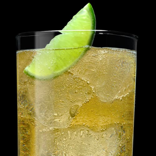 Tennessee Honey and Ginger Ale Cocktail