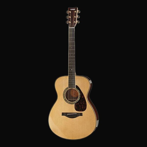 acoustic guitar