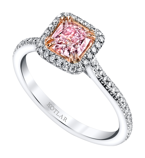 kotlar-collection/vault/j-5974
