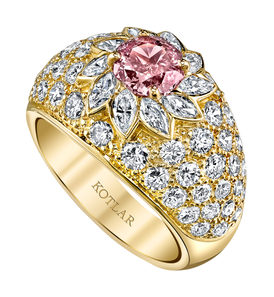 kotlar-collection/vault/j-3980