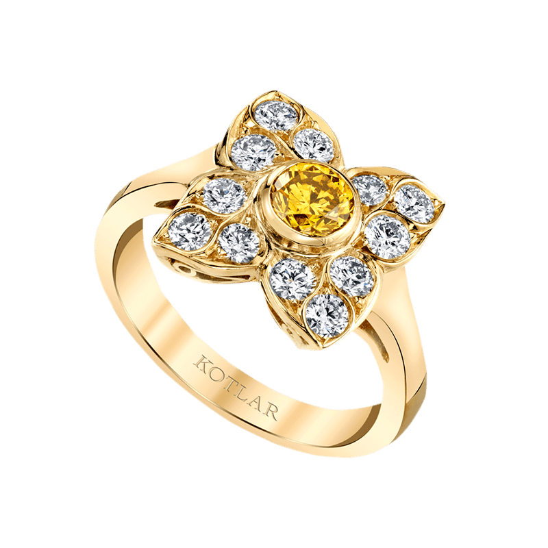 kotlar-collection/vault/j-5748