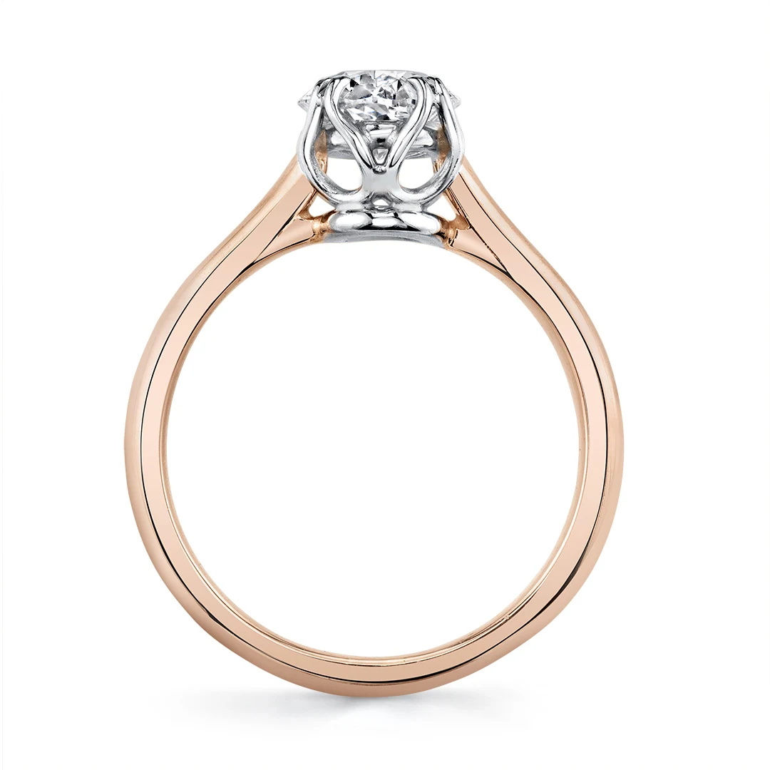 New collection features