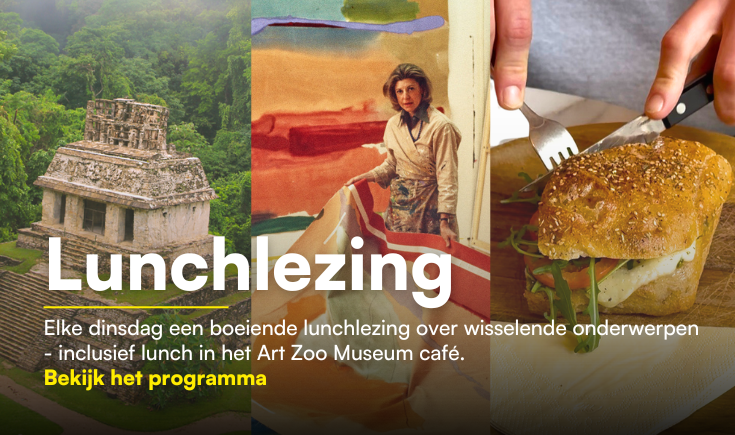 Promotional Banner Desktop