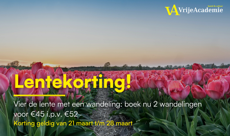 Promotional Banner Desktop