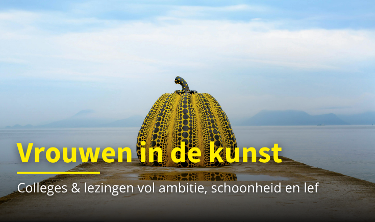 Promotional Banner Desktop