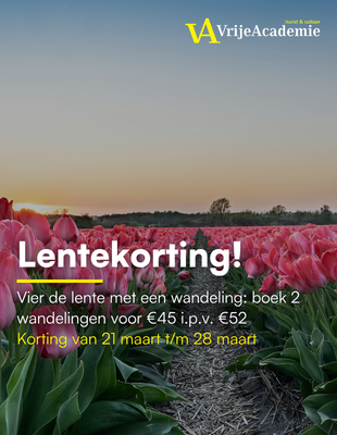 Promotional Banner Ipad Horizontal