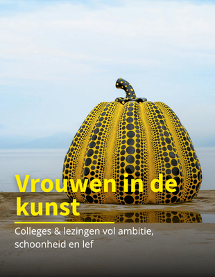 Promotional Banner Ipad Horizontal