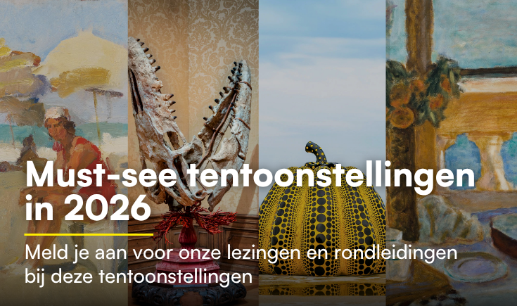 Promotional Banner Desktop