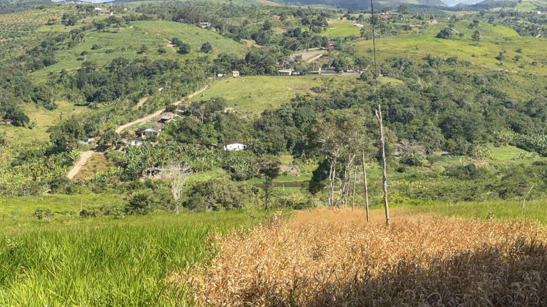 Fazenda Santa Alice – 38 ha às margens do Rio Ipojuca, Chã Grande/PE - foto 2