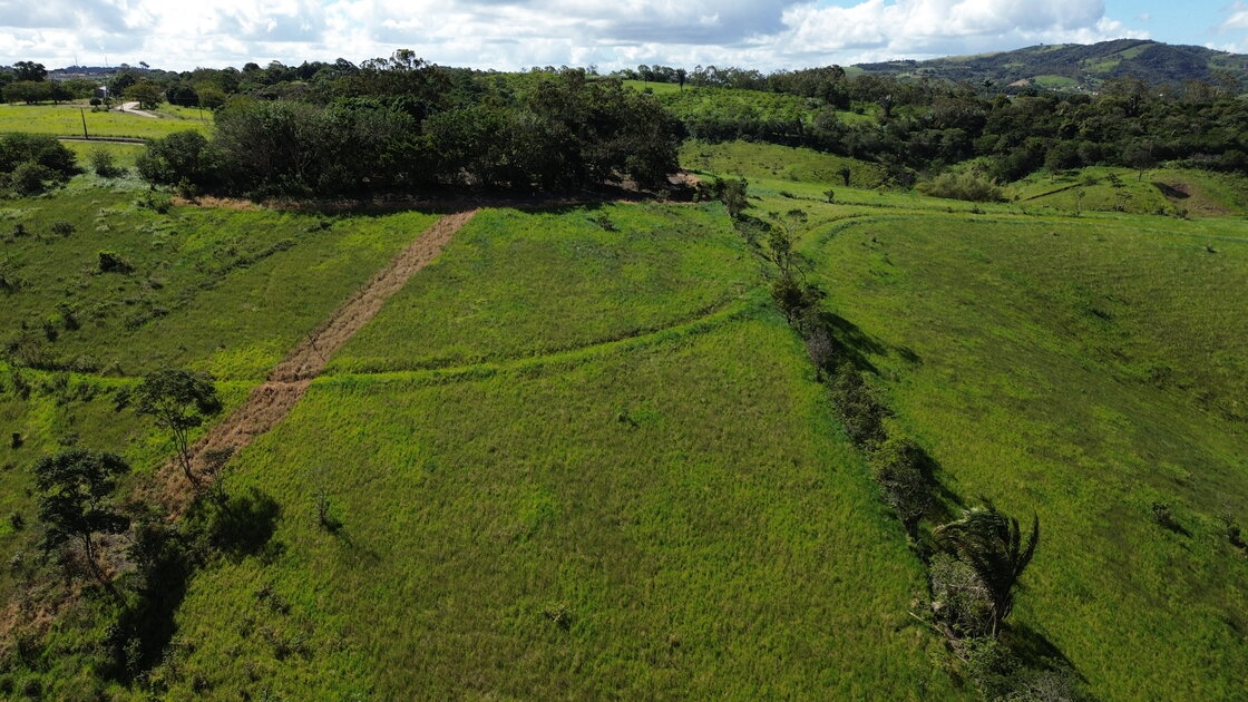 Fazenda Santa Alice – 38 ha às margens do Rio Ipojuca, Chã Grande/PE - foto 3