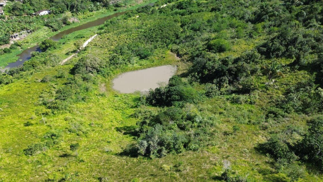 Fazenda Santa Alice – 38 ha às margens do Rio Ipojuca, Chã Grande/PE - foto 4