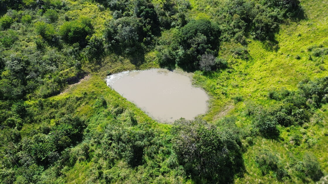 Fazenda Santa Alice – 38 ha às margens do Rio Ipojuca, Chã Grande/PE - foto 5