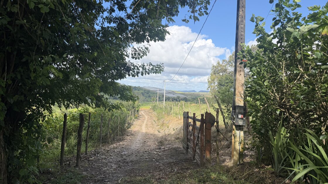 Fazenda Santa Alice – 38 ha às margens do Rio Ipojuca, Chã Grande/PE - foto 6