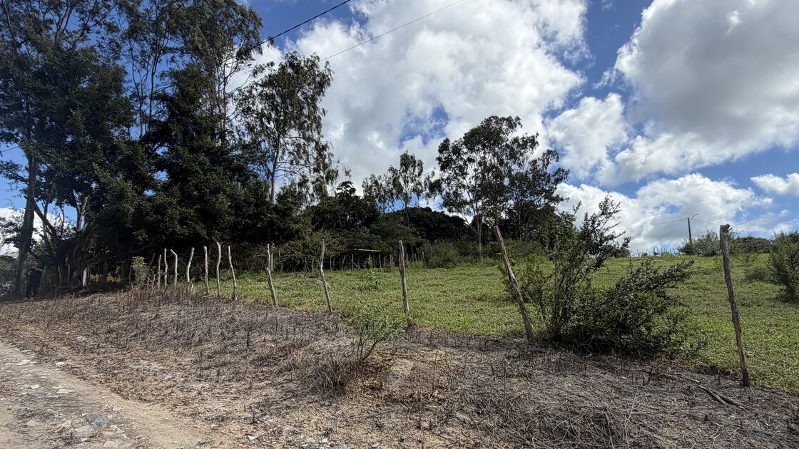 Fazenda Santa Alice – 38 ha às margens do Rio Ipojuca, Chã Grande/PE - foto 7